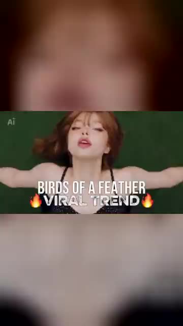 Birds of a Feather AI: example video made from 1 photo