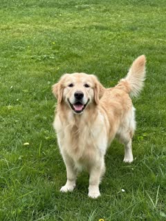 Input photo 1